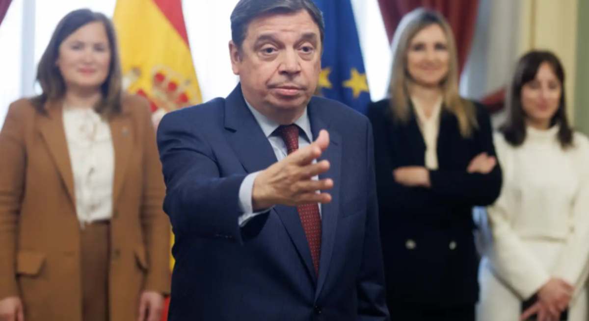 planasok.jpg