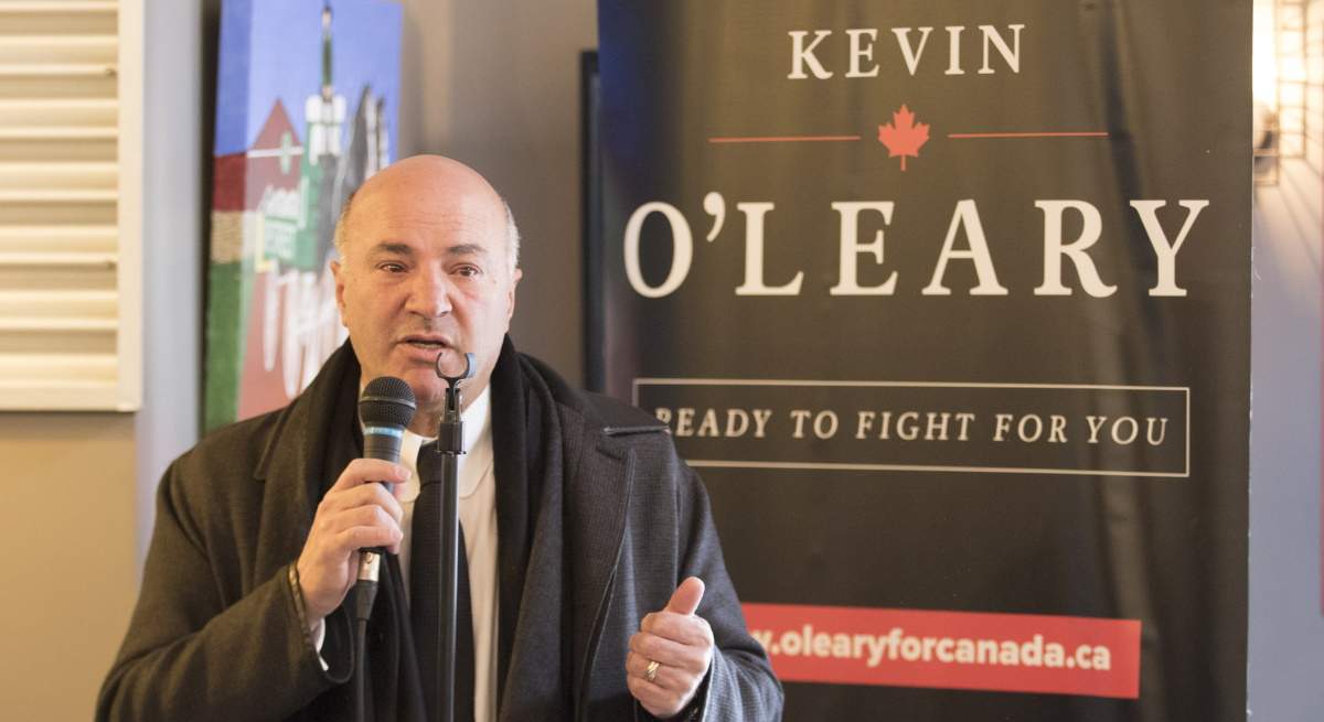 kevin-oleary-dreamstime.jpg