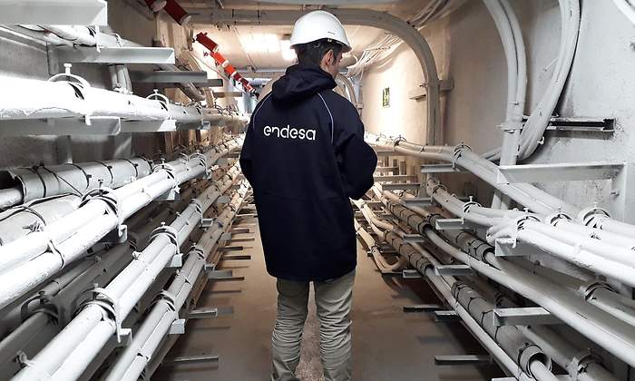 endesa