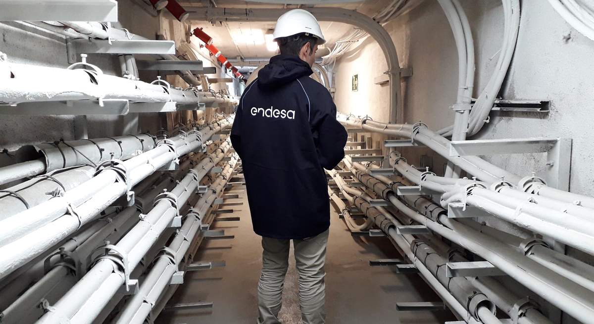 endesa
