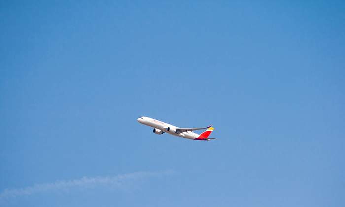 iag-vuelo-dreamstime-1200.jpg
