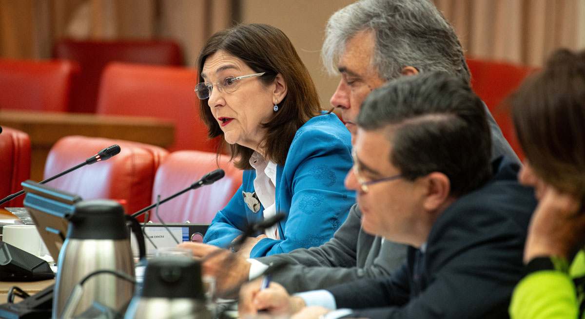 CNMC Presidenta
