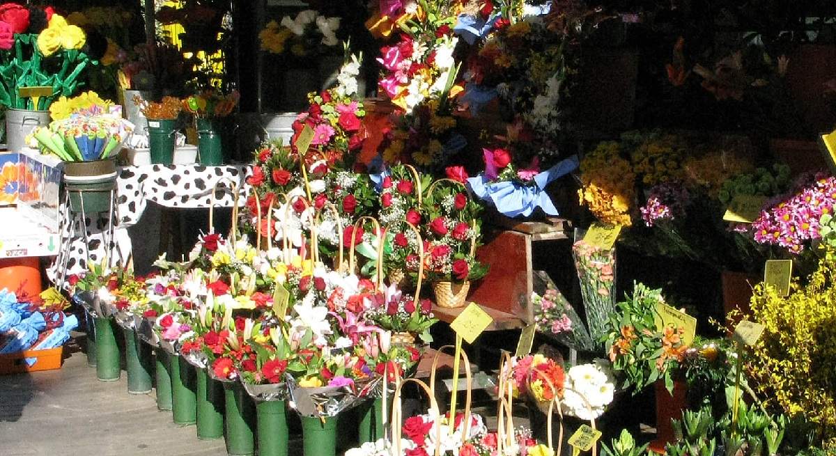 flores.jpg