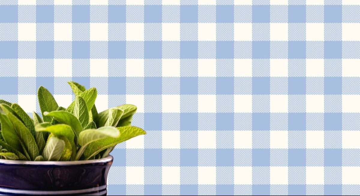 La salvia es una planta originaria de las montañas del sur de México