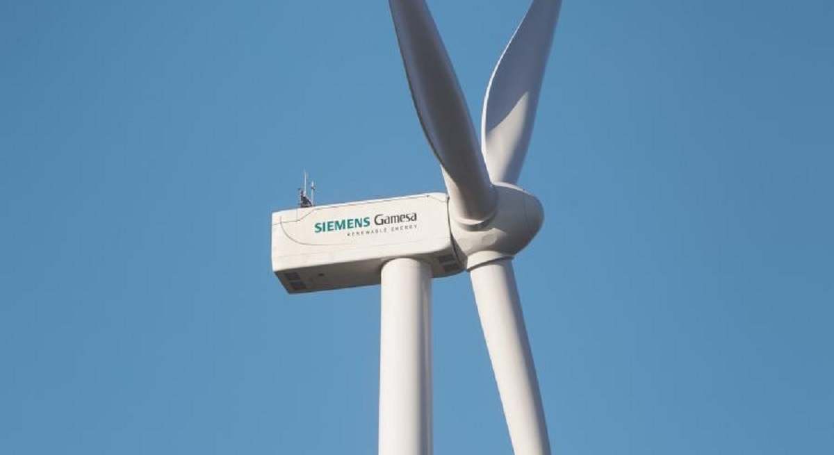 DAMBin-11.jpg