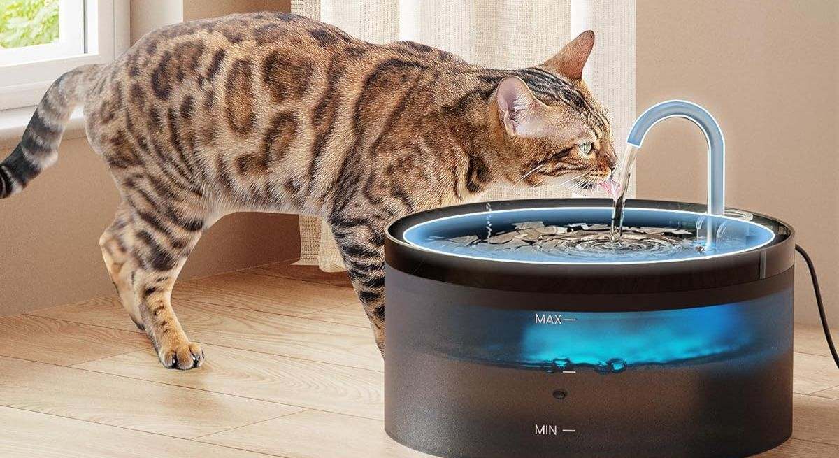 Fuente para gatos de BEMOONY