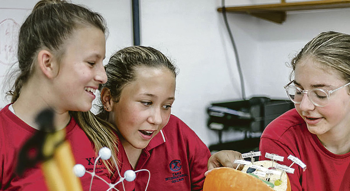 Imagen-secondary-curriculum-rev-web.jpg