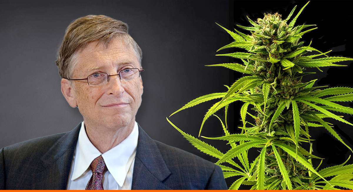 Bill-Gates-marihuana-legalizacion-1800.jpg