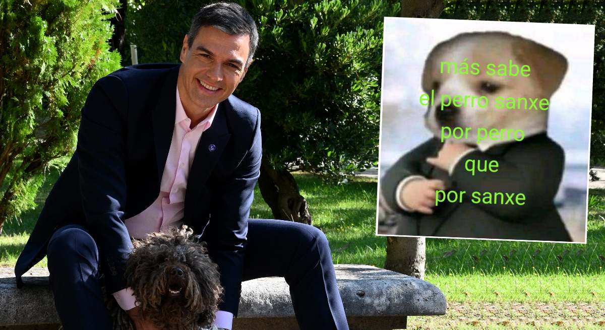 sanchez-meme-1200.jpg