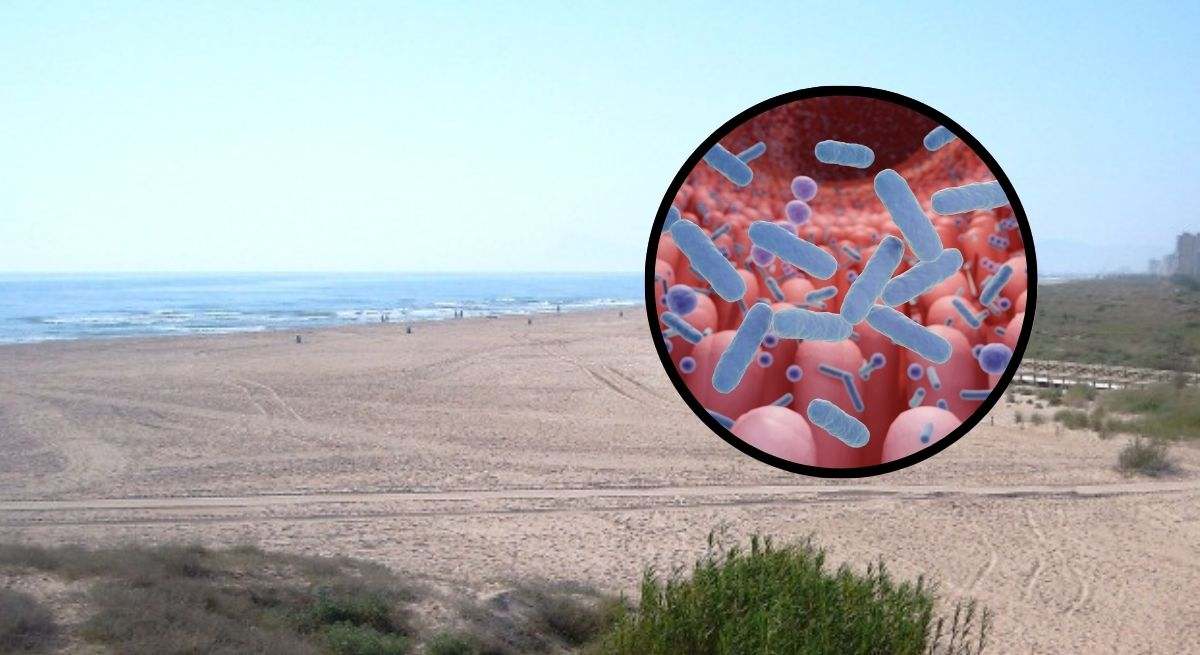 Playa de Xeraco y bacterias intestinales