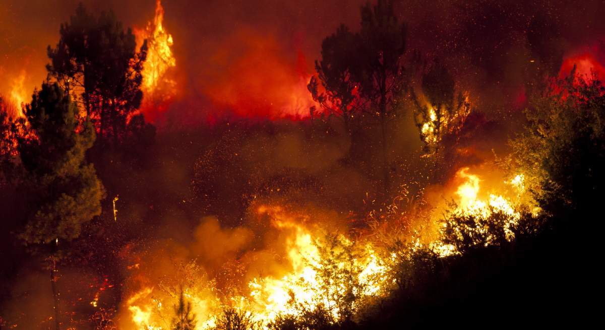 incendio-dreamstime.jpg