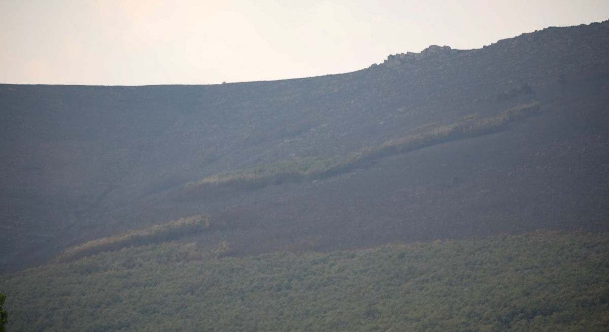 Vista del bosque calcinado, a 22 de agosto de 2025, en Vigo de Sanabria, Zamora.