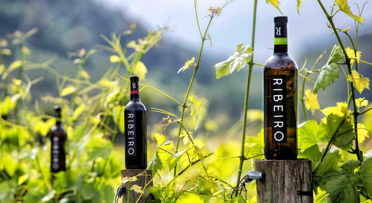 VInos gallegos de la DO Ribeiro.