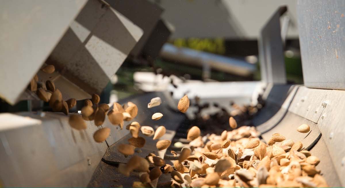 Detalle_procesado-almendra-cascara-Dcoop-1.jpeg
