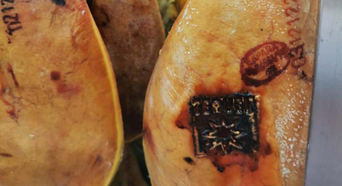 jamonteruel