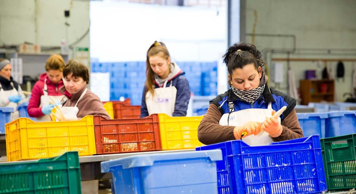 trabajadoras-temporada-istock.jpg