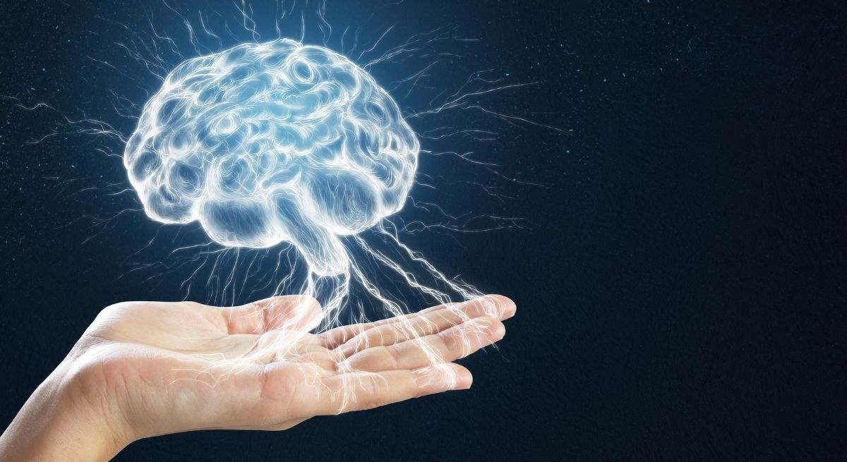 El cerebro es la estructura principal responsable de la coordinación y del control del organismo