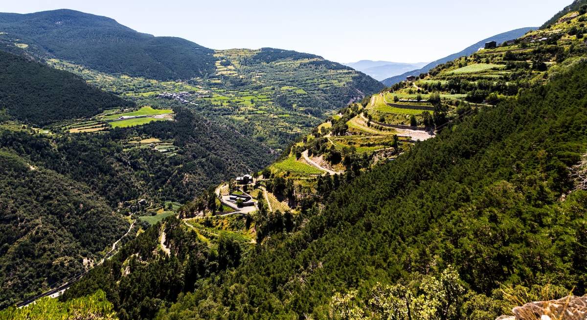 vinyes-andorra.jpg