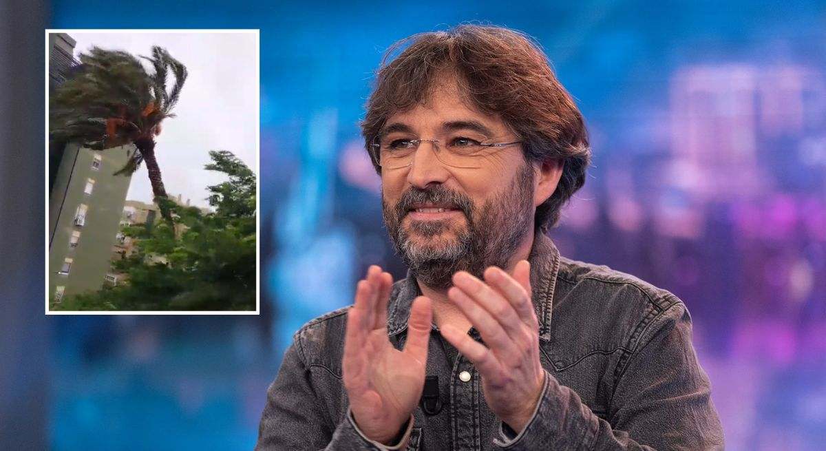 Jordi Évole comenta el vídeo de la palmera