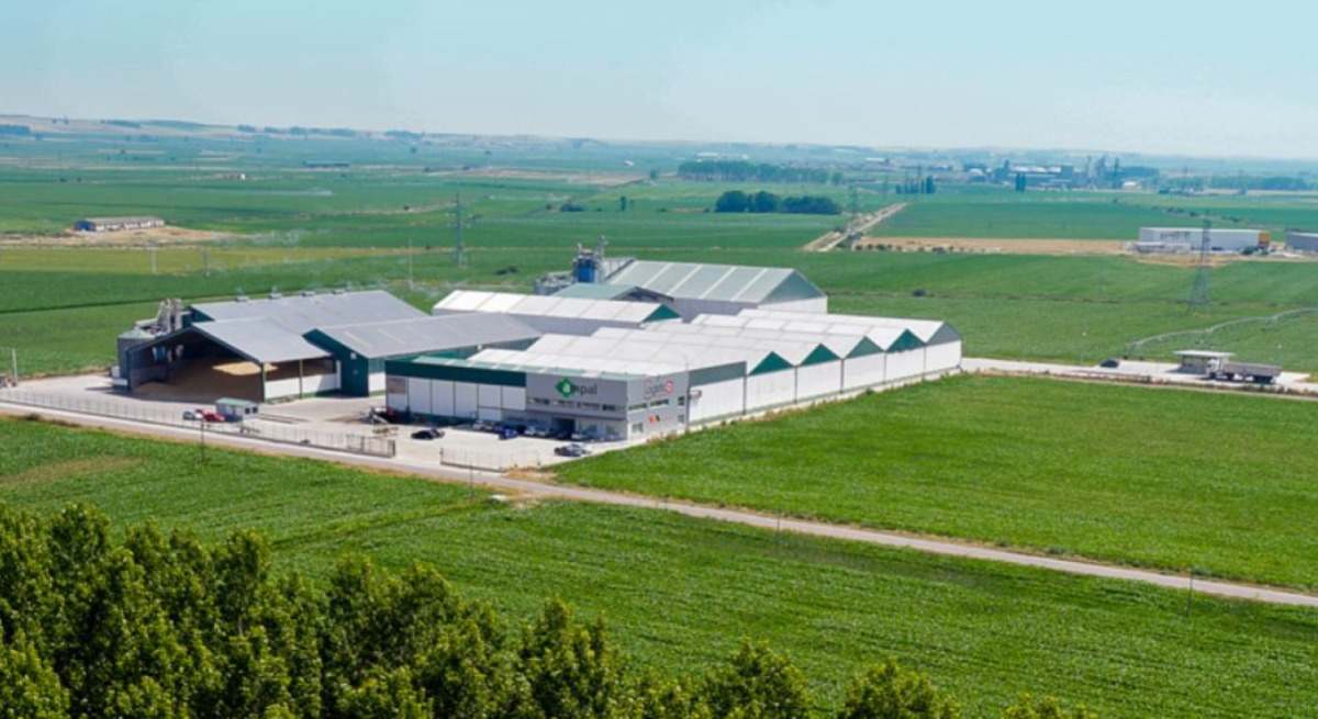 Instalaciones de Bernabé Campal