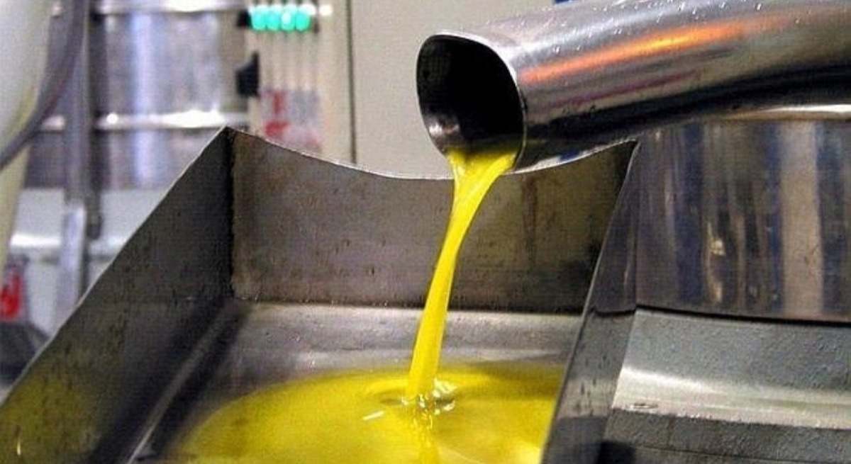 aceite de oliva somontano