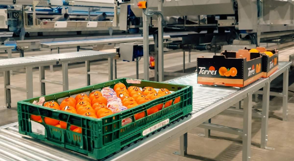 Naranjas-Torres.jpg