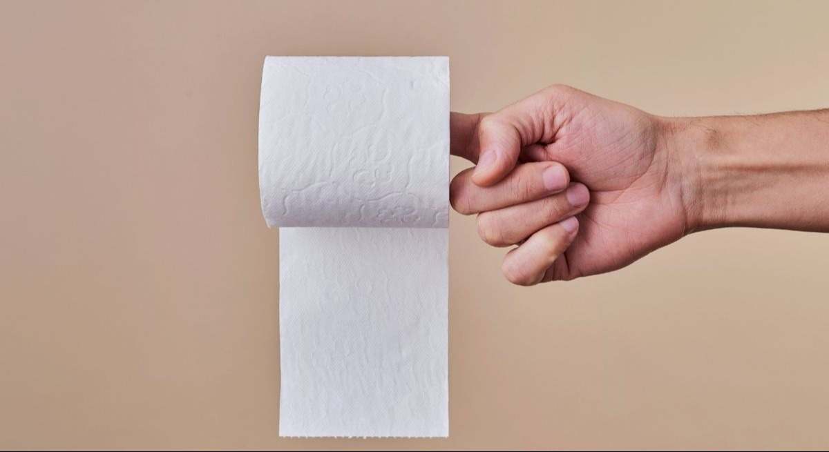 papel-canva