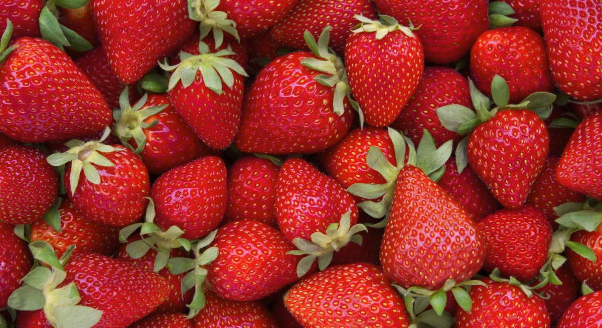 Fresas