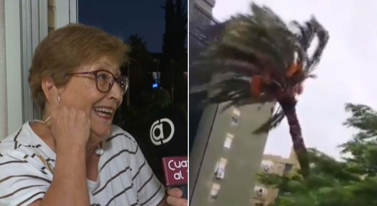 María Luisa, la mujer que grabó el vídeo viral de la palmera