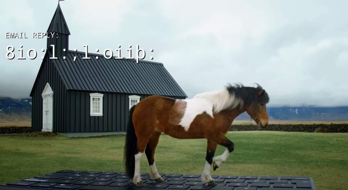 outhorse-your-email-caballo-islandia-teclado.jpg
