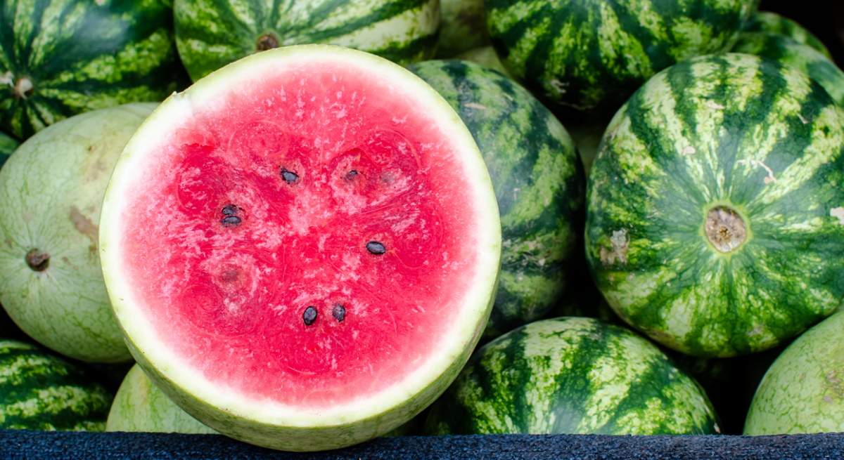 sandia-trucos.jpg