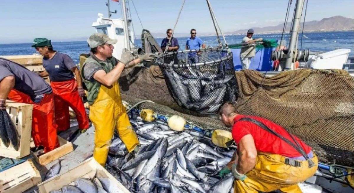 Barco descargando pescado en la lonja de Celeiro.