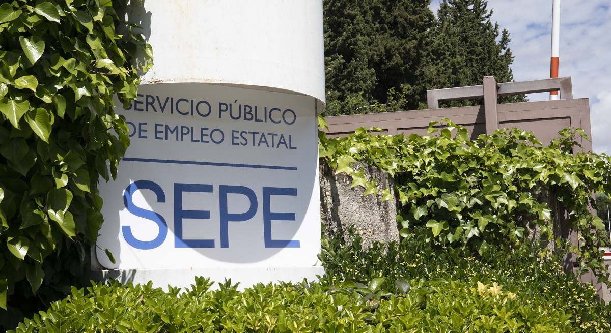 sepe.jpg