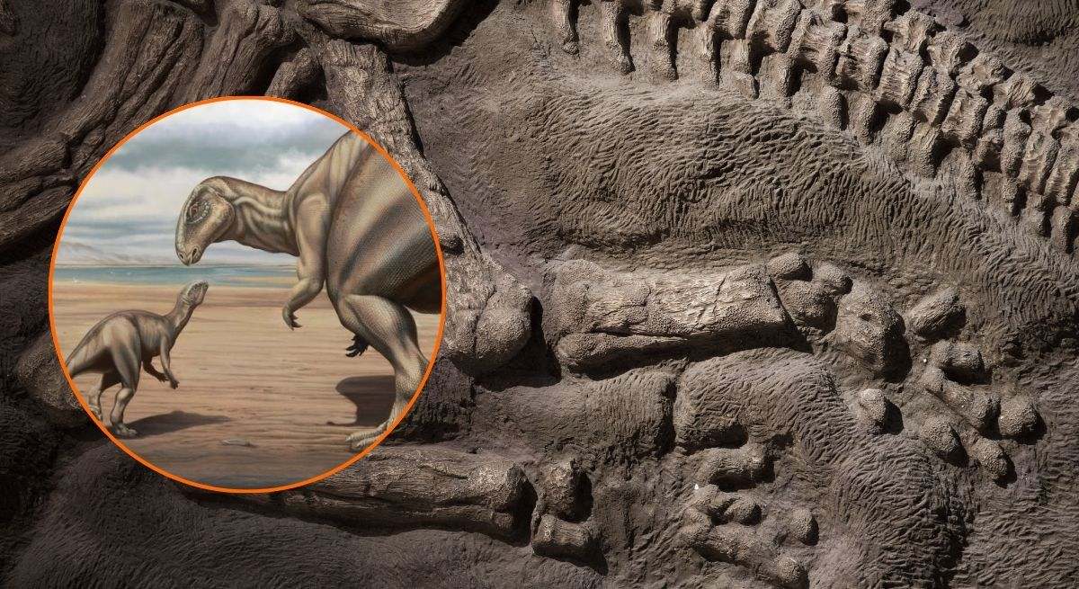 Representación del dinosaurio encontrado en Portugal