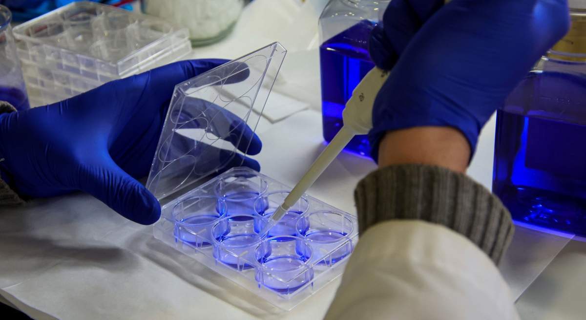 laboratorio-investigacion.jpg