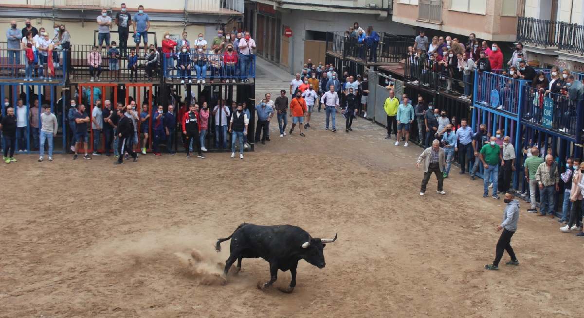 bous-ala-carrer.jpg