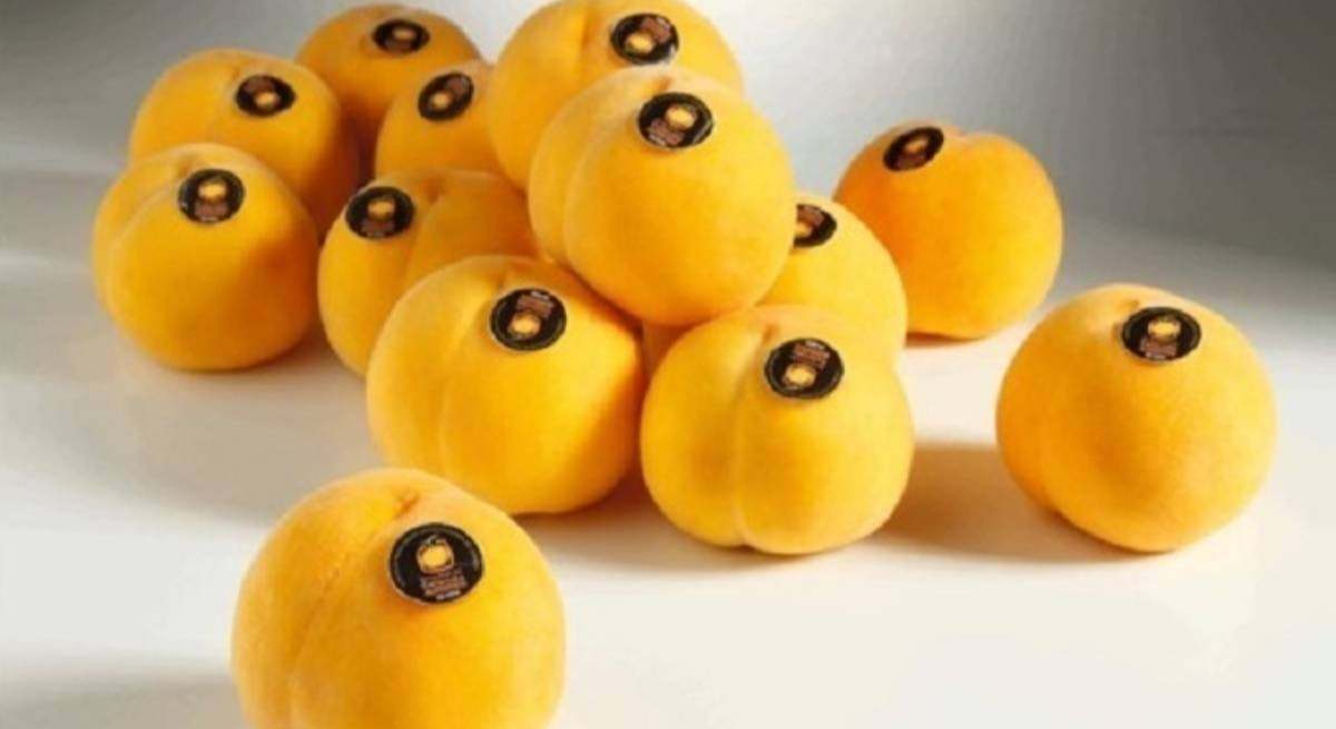 apagon industria alimentaria