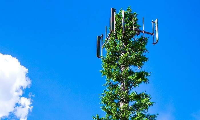 antena-arbol-1.jpg