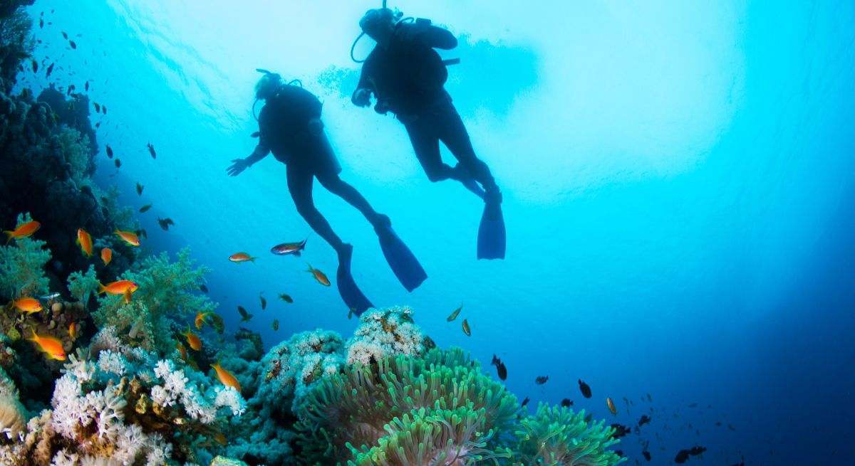 Bautismo Buceo