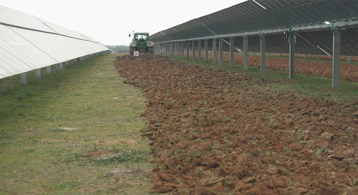 agrivoltaica.jpg