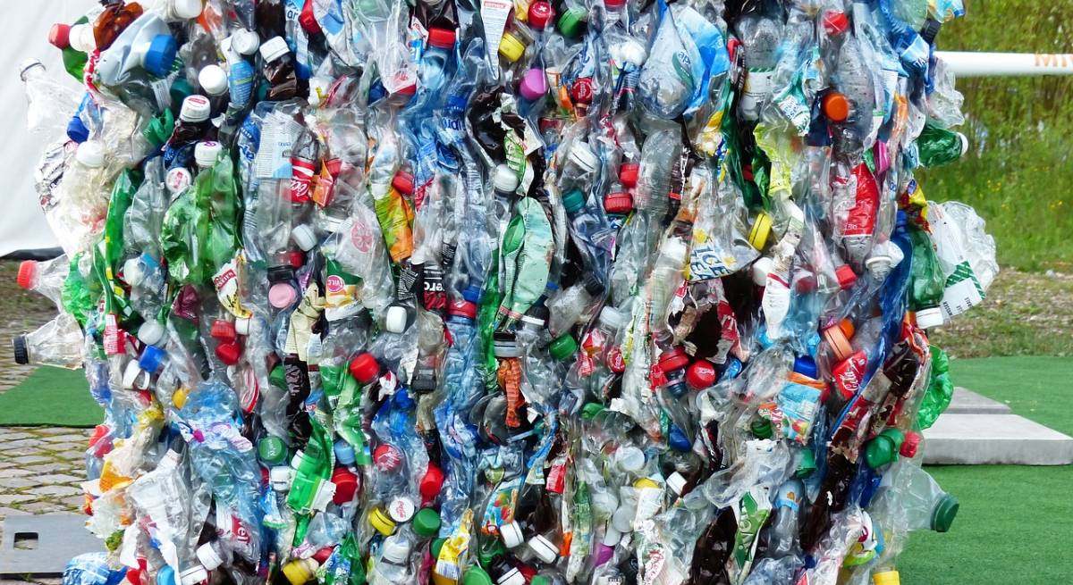 plastic-bottles.jpg