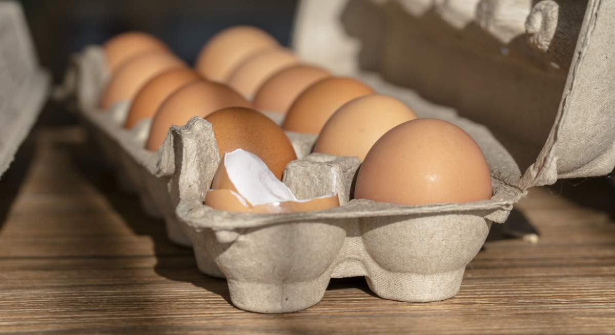 huevos-docena.jpg