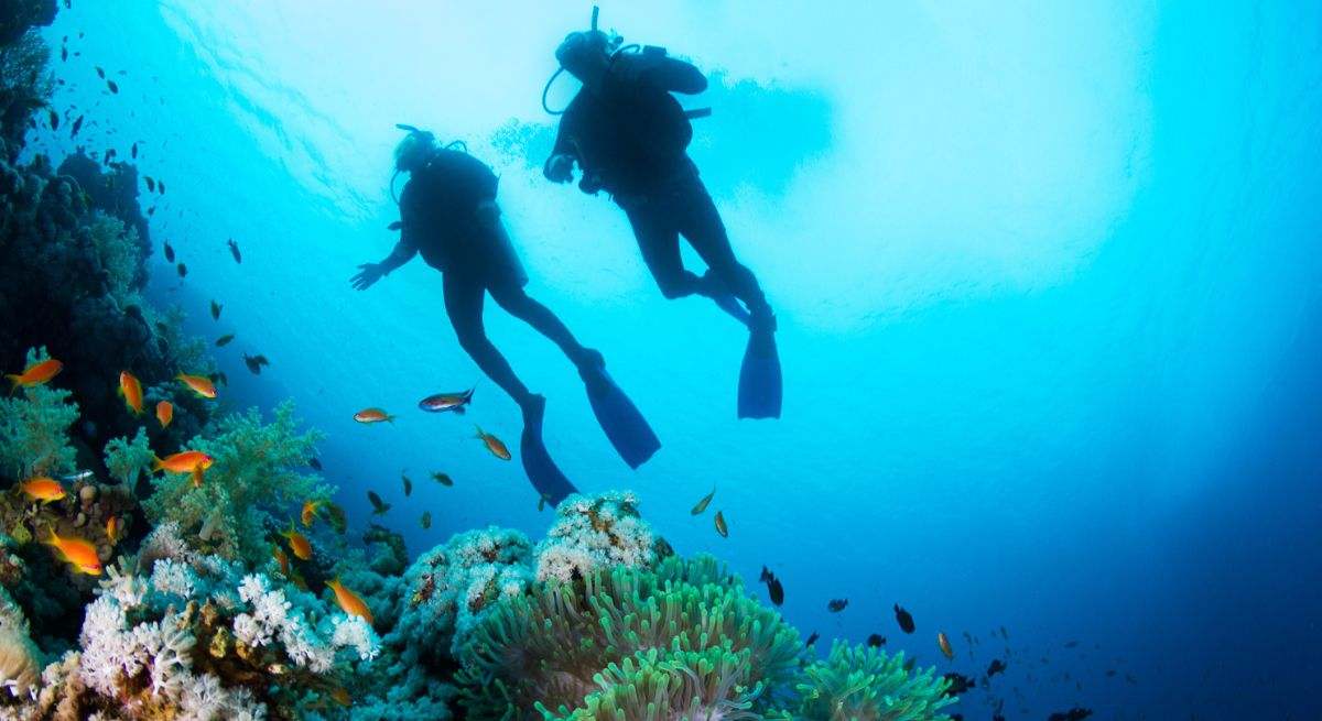 7 de las experiencias de buceo más increíbles del mundo