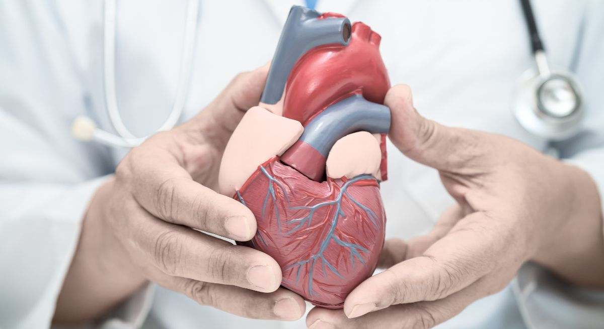 Enfermedad cardiovascular