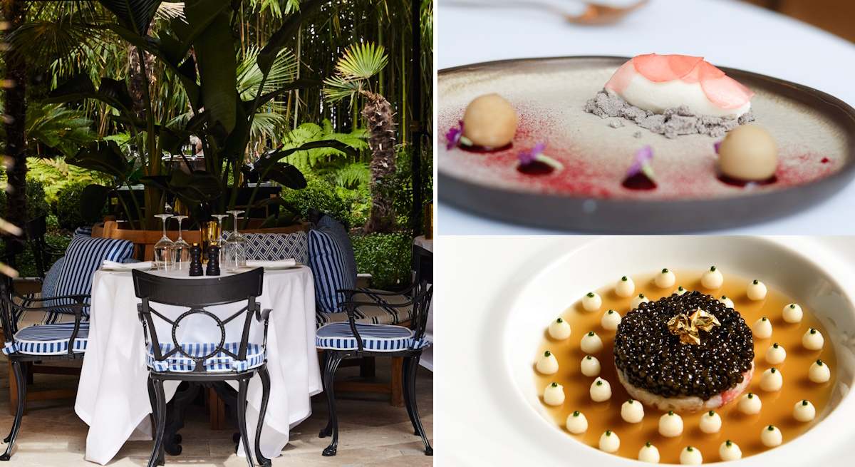 mauro-ababol-robuchon-1200.jpg