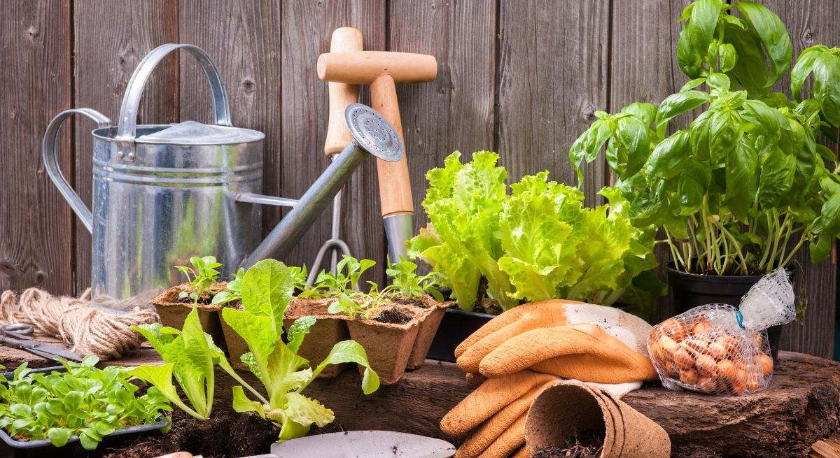 Herramientas para el huerto. / Foto: Dreamstime