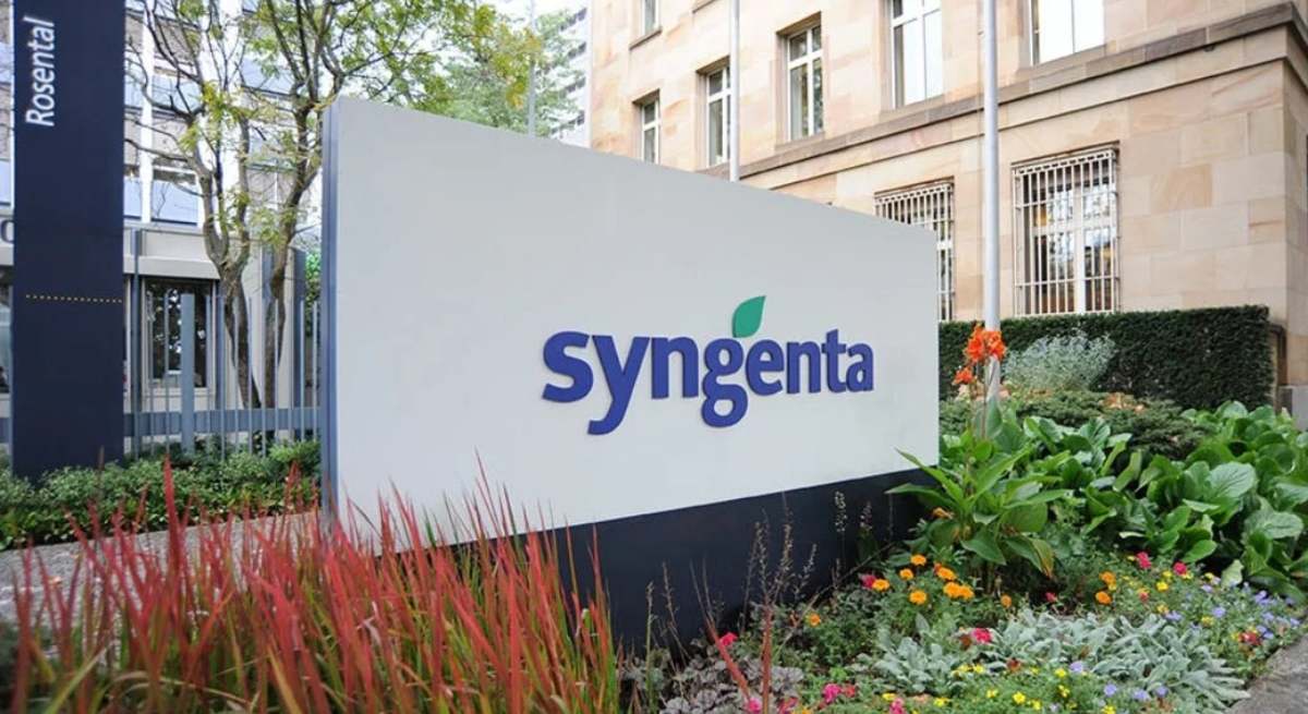 Instalaciones de Syngenta
