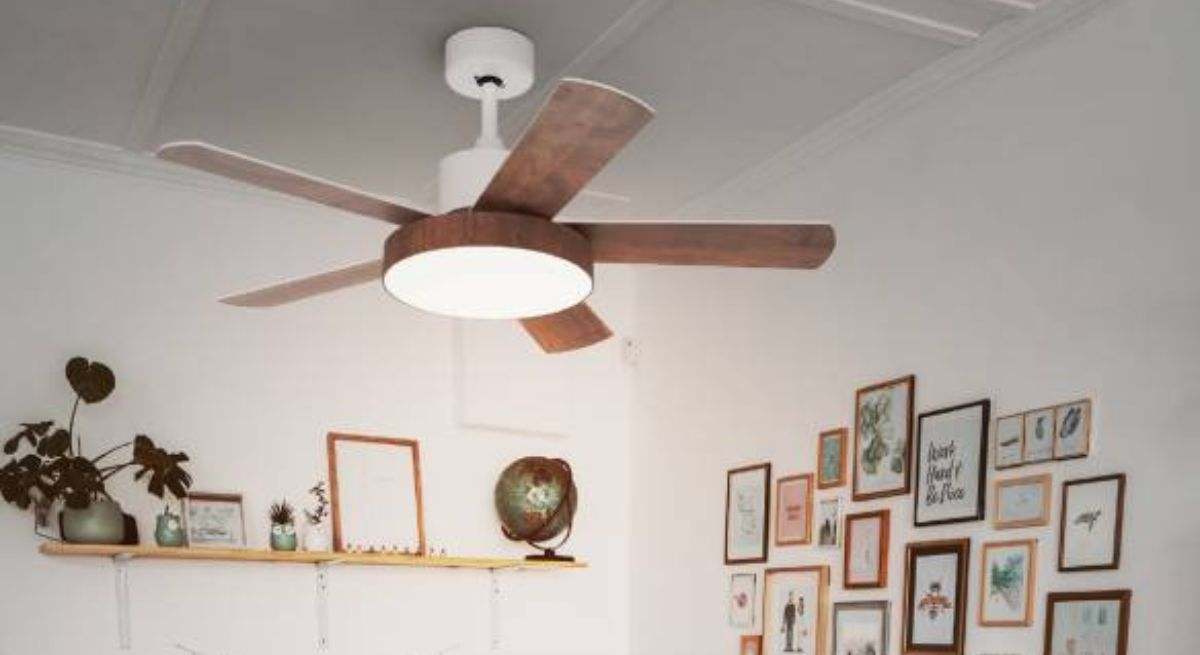 Ventilador de techo