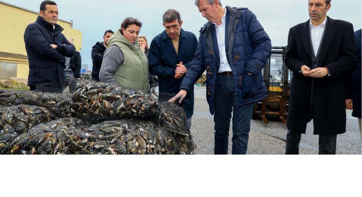 El presidente Alfonso Rueda visita empresa sector mejillonero.