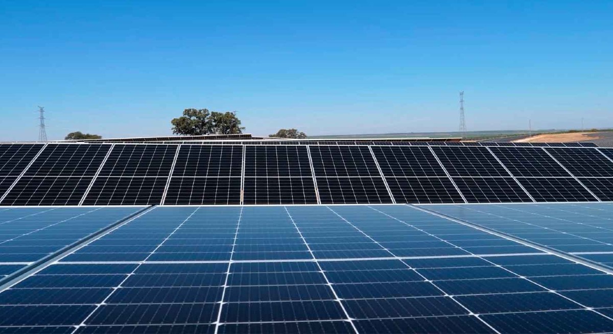 acciona-energia.jpg